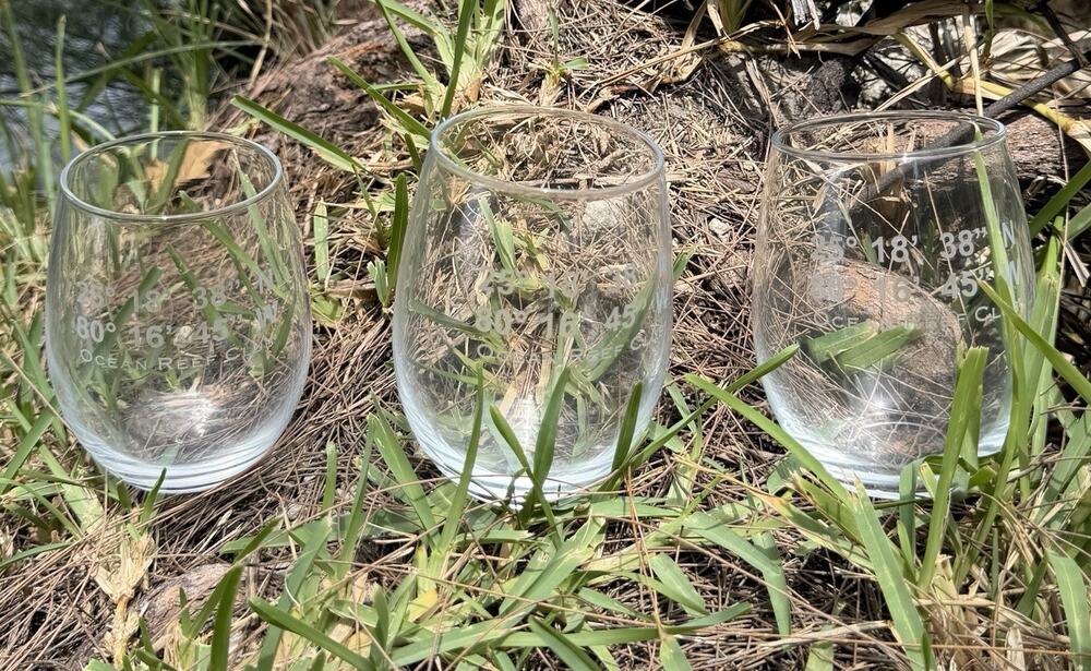3 OCEAN REEF CLUB WHISKEY GLASS